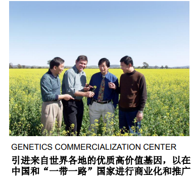 图片6.png