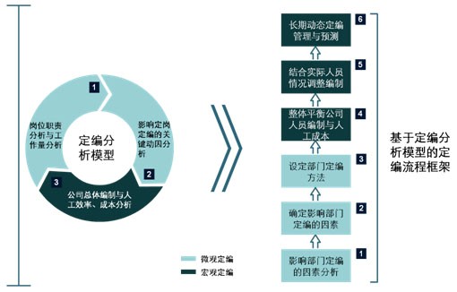 定岗定编管理